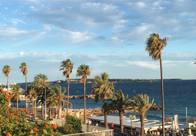 Apartment in Cannes - Front de mer, terrasse vue mer  231L/STEN Apartment in Cannes - Front de mer, terrasse vue mer  231L/STEN