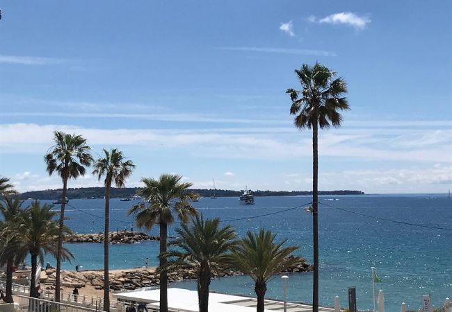 Apartment in Cannes - Front de mer, terrasse vue mer  231L/STEN Apartment in Cannes - Front de mer, terrasse vue mer  231L/STEN