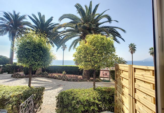 Studio in Cannes - RDJ emplacement idéal 264L/MUN