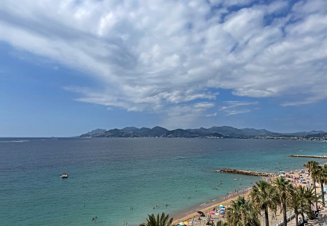 Apartment in Cannes - Superbe 3 pièces front de mer  303L/MEGR Apartment in Cannes - Superbe 3 pièces front de mer  303L/MEGR