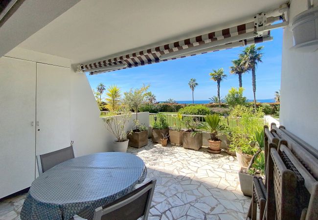 Studio in Cannes - Superbes prestations grande terrasse 352L/ROLL