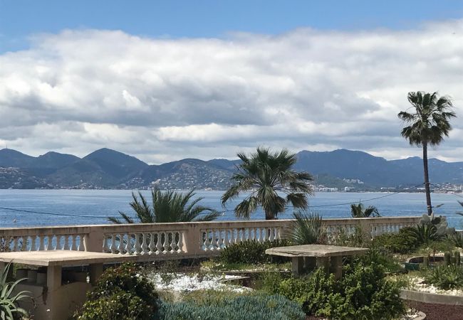 Appartement à Cannes - Front de mer, terrasse vue mer  231L/STEN Appartement à Cannes - Front de mer, terrasse vue mer  231L/STEN