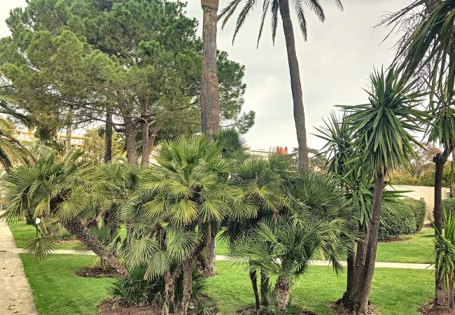 Appartement à Cannes - Terrasse vue mer, proche plages, piscine 258L/TVLV Appartement à Cannes - Terrasse vue mer, proche plages, piscine 258L/TVLV