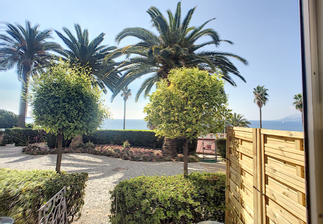 Studio à Cannes - RDJ emplacement idéal 264L/MUN