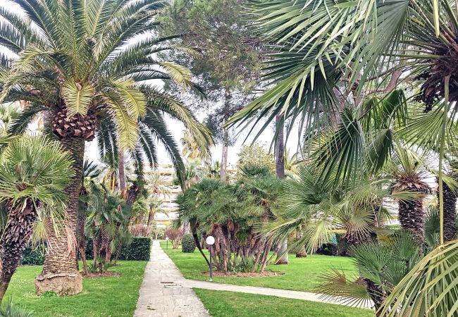 Appartement à Cannes - Superbe 3 pièces RDJ à deux pas des plages 295L Appartement à Cannes - Superbe 3 pièces RDJ à deux pas des plages 295L