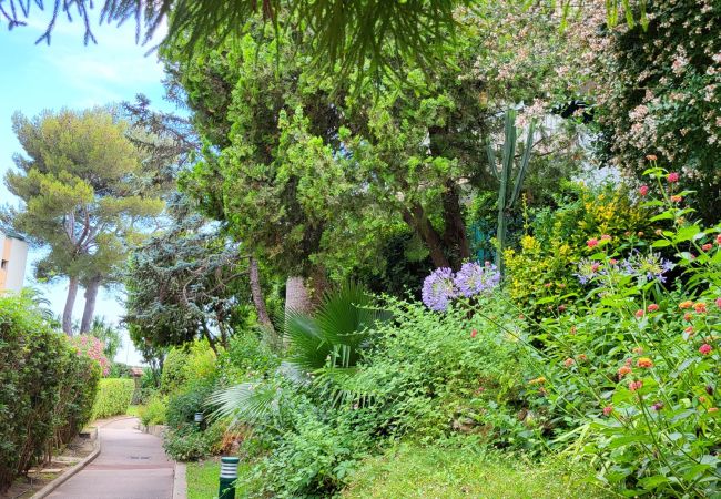 Appartement à Cannes - Superbe appartment plage du Midi  - 325L/TUCM Appartement à Cannes - Superbe appartment plage du Midi  - 325L/TUCM