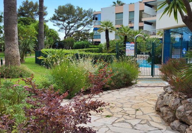 Appartement à Cannes - Superbe appartment plage du Midi  - 325L/TUCM Appartement à Cannes - Superbe appartment plage du Midi  - 325L/TUCM