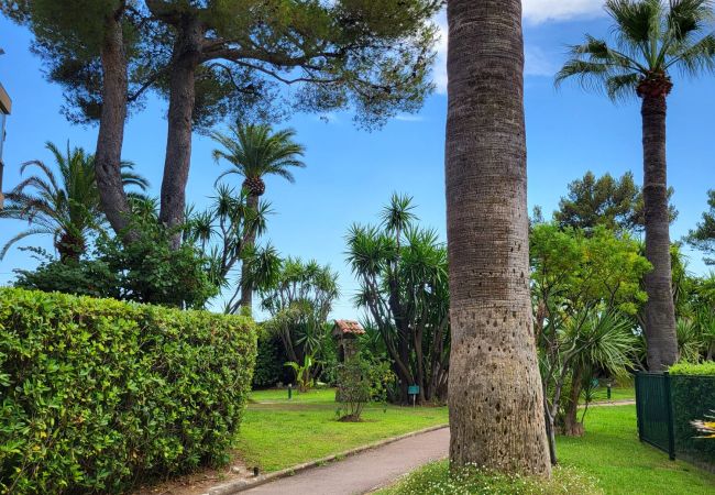 Appartement à Cannes - Superbe appartment plage du Midi  - 325L/TUCM Appartement à Cannes - Superbe appartment plage du Midi  - 325L/TUCM