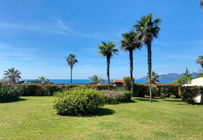 Studio à Cannes - Superbes prestations grande terrasse 352L/ROLL Studio à Cannes - Superbes prestations grande terrasse 352L/ROLL